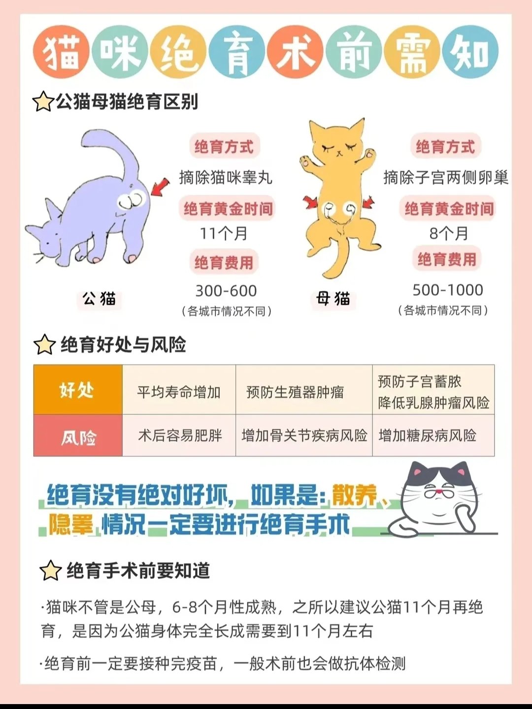 猫睾丸药用价值图片