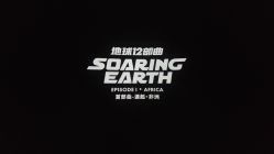 -飞览天下沉浸式飞行体验(北京旗舰店)