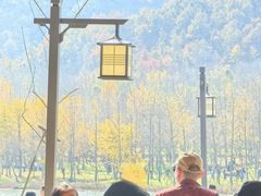 -千年银杏谷文化旅游区