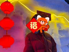 -长春市南湖公园