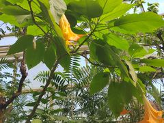 -石家庄市植物园