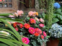 -龙姐私房菜(和顺古镇店)