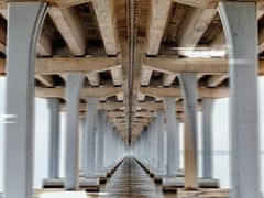 -宝安西湾红树林湿地公园