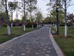 -悦海公园