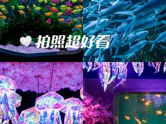 -正佳极地海洋世界