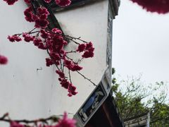 -乌山风景区