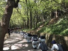 -普陀山风景区-佛顶山