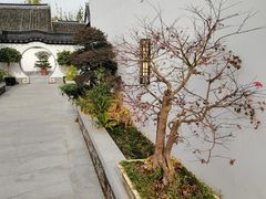 -狼山风景名胜区