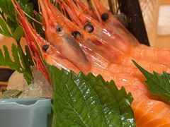-德川家日本料理(中关村店)