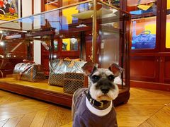 -Goyard 高雅德(国贸商城店)