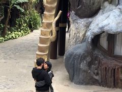 -疯狂屋