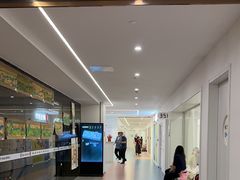 -舞蕾舞蹈(特长生校区)