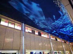 -王府井百货(中州中路店)