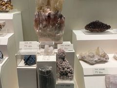 -天津自然博物馆