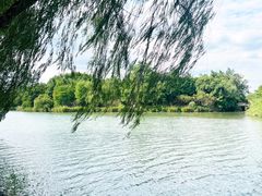 -杭州植物园