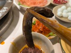 鳝鱼-朱氏胖子烂火锅(洪崖洞店)