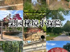-北京张裕爱斐堡酒庄
