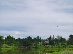 -桤木河湿地公园