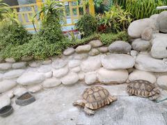 -南宫五洲植物乐园