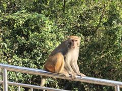 -黔灵山公园-南门售票处