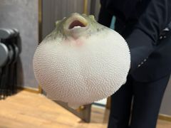 -鲐赏河豚(长寿店)
