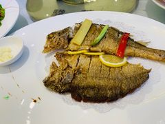 -骏莱海鲜鱼港(五角场店)