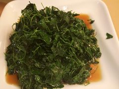 -新南华大酒店(广中店)