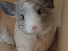 -雨林宠物医院 非犬猫异宠专科