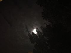 -Catail前苑(前门大街店)