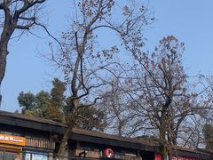 -茶颜悦色(岳麓山顶店)