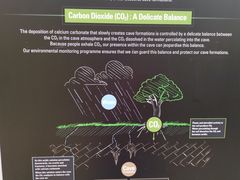 -怀托摩萤火虫洞