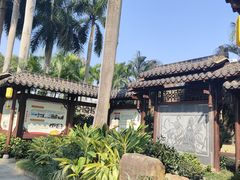 -金花茶公园