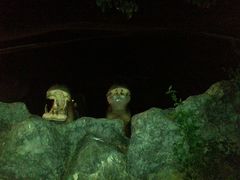 -清迈夜间动物园