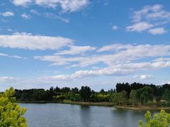-东郊湿地公园