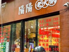 -阳阳老火锅(小南门店)