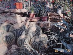 -国家植物园南园