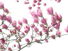 -艾溪湖湿地公园