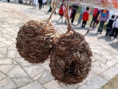 -苏州太湖国家湿地公园