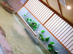 -汤泉良子.足疗按摩.SPA(中关村店)