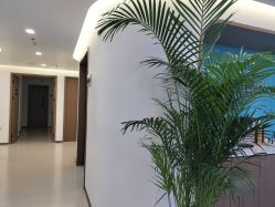 -丰联丽格医疗美容·联合丽格眼整形中心