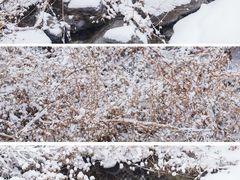 -妙峰山风景名胜区