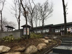 -汤山温泉房车营地 茶温泉