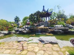 -东莞植物园