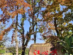 -江心屿景区
