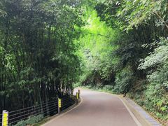 -缙云山景区