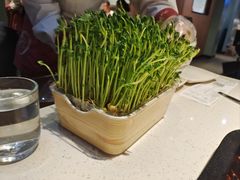 -海底捞火锅(创意园店)
