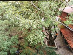 -梅州天地人花园酒店(梅县人民广场店)