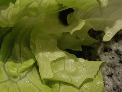 -酒拾烤肉(九方店)