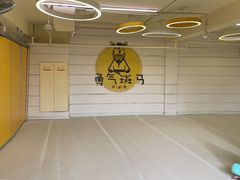 -勇气斑马·巴西柔术&跆拳道(浦东三林店)