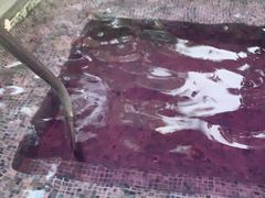 -广州都喜泰丽温泉度假酒店